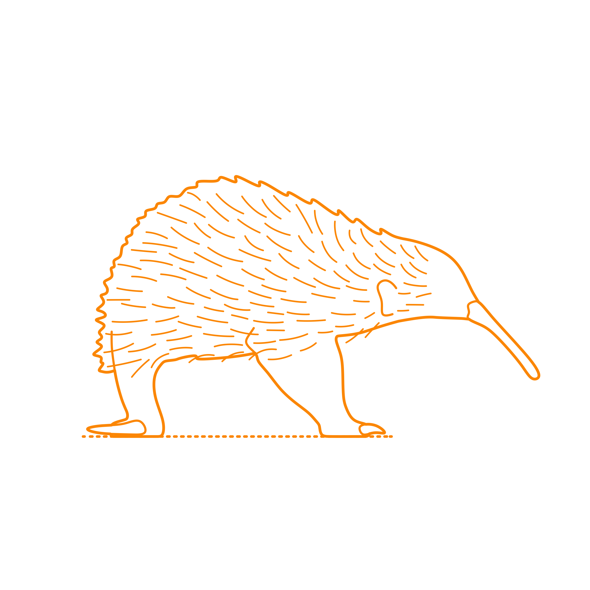 Animals Monotremes Western Long Beaked Echidna Icon Svg Vector Free Vectors